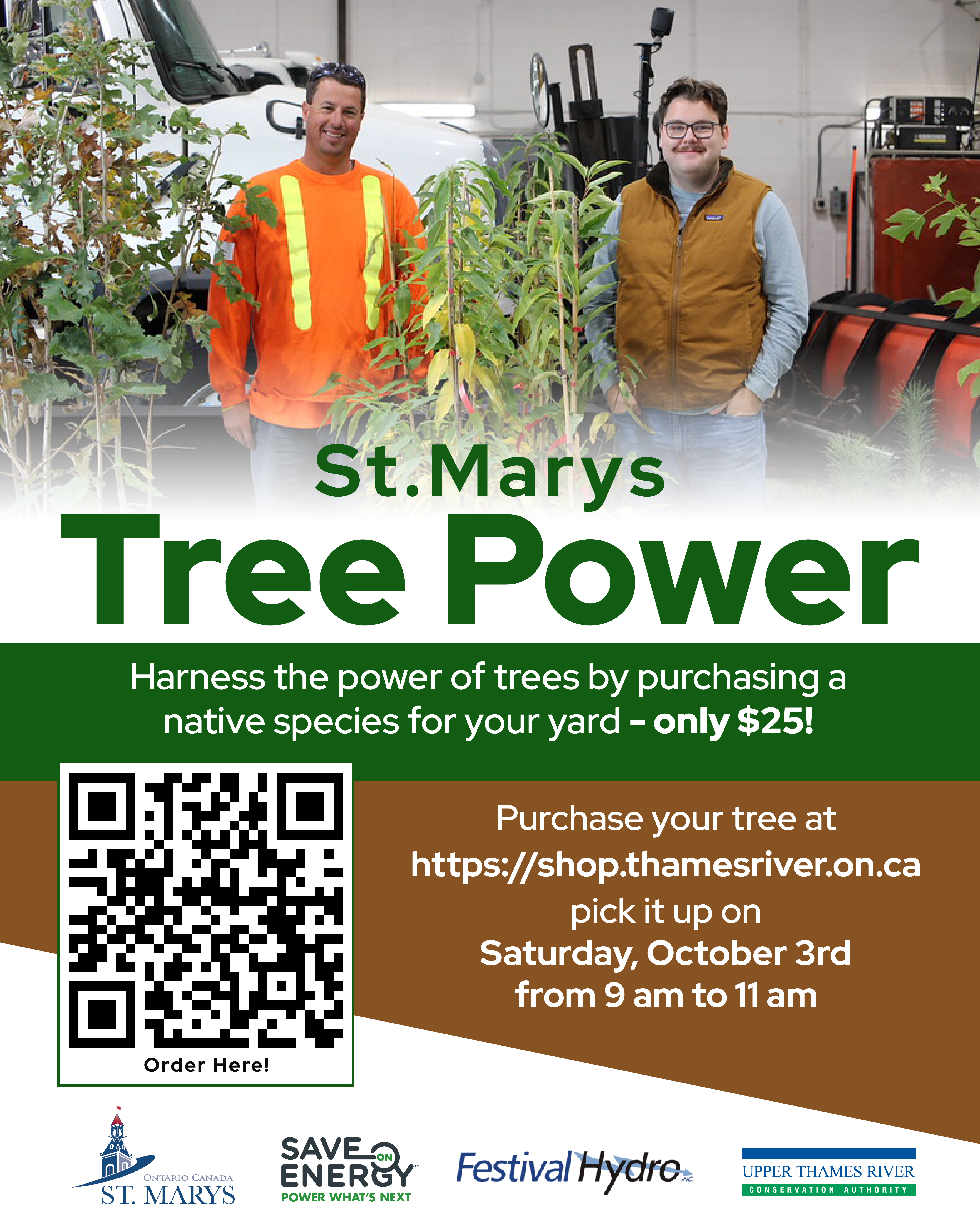 St. Marys Tree Power Program