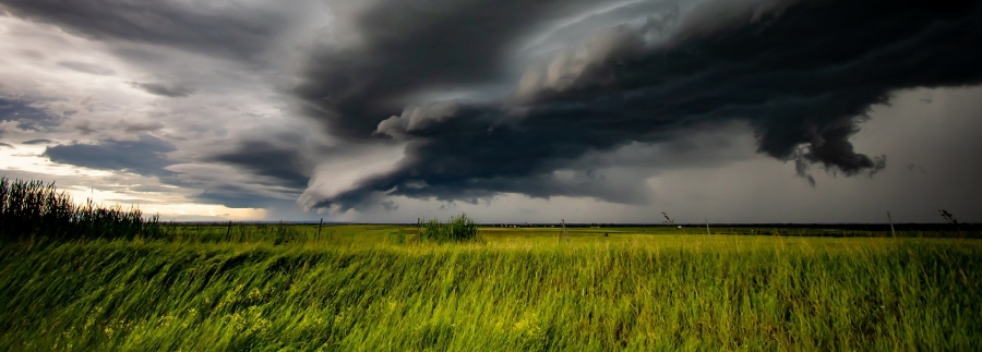 A dark gray shelf cloud moves across the sky over a field of green grass.