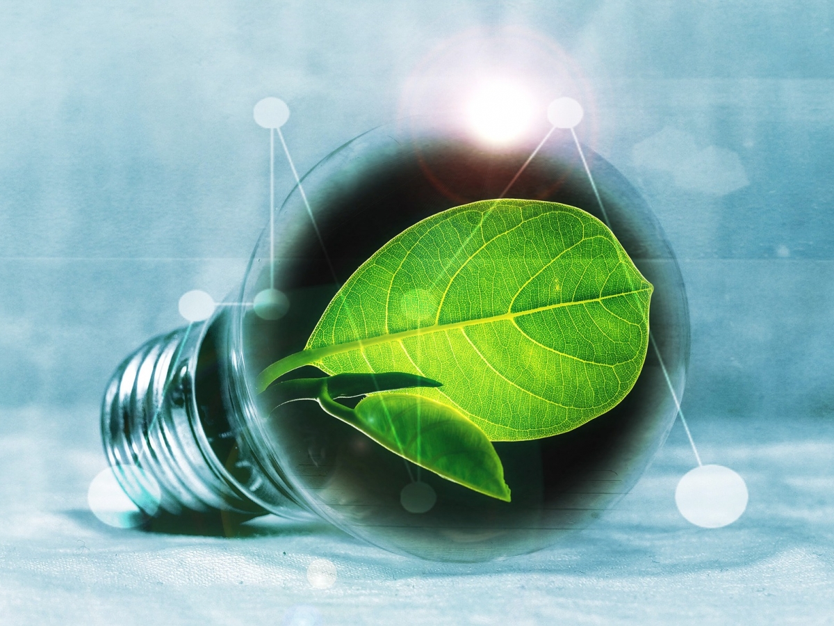 A lightbulb with a green leaf inside is positioned on its side in front of a greyish blue background.